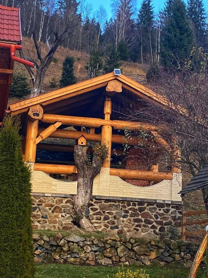 Villa Casa Anghel Bilbor Esterno foto